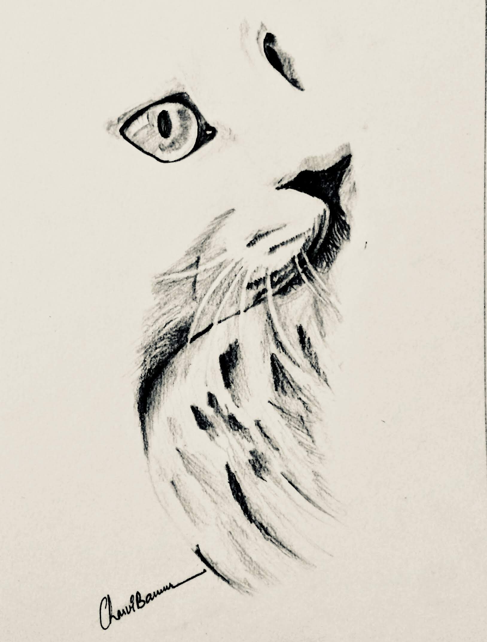 Doodle 2